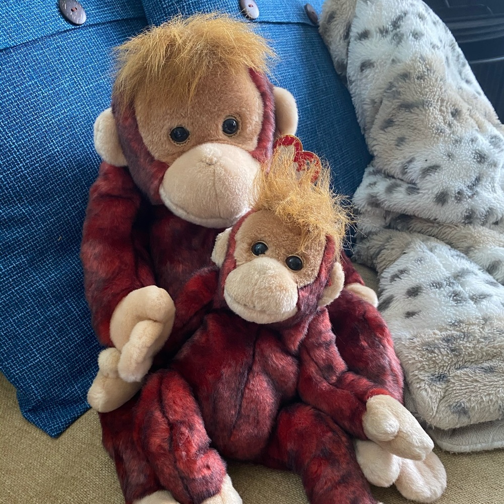 TY BEANIE BUDDIES COLLECTION!